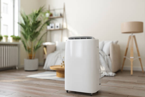 Best Ductless Mini-Split Systems in Eagle, CO